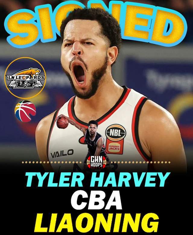 im电竞-单场33+11超级外援正式重返CBA！辽篮抢人成功，能否补强最大短板